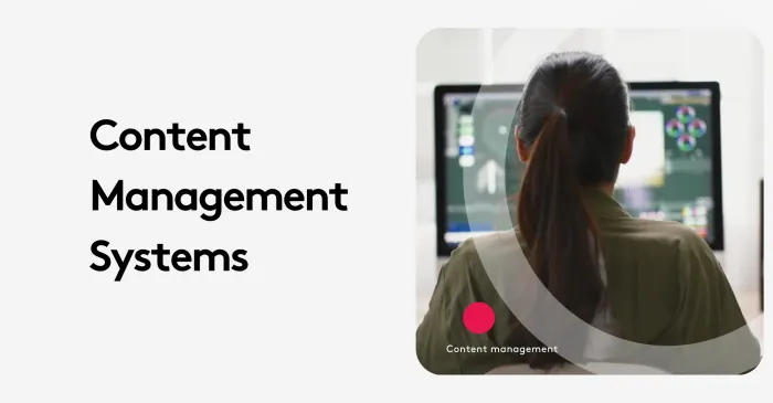 Person using content management system on computer screen