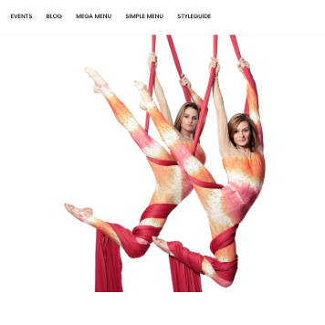 Two aerial silk performers in colorful costumes suspended in mid-air.