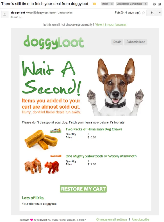 Doggyloot abandoned cart email with dog image and product reminder.