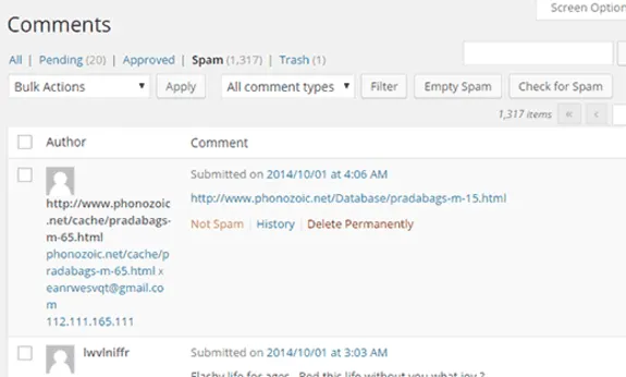 Screenshot of WordPress dashboard showing spam comments management.