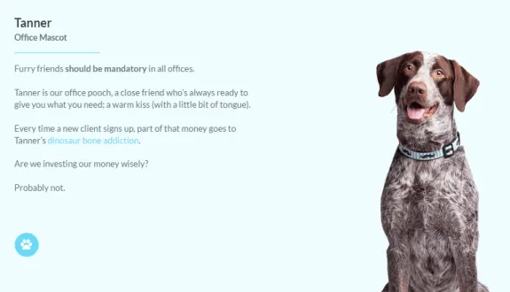 Office dog mascot Tanner with description about his role and personality.