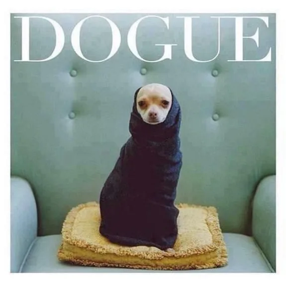 Chihuahua wrapped in black fabric on chair with 'Dogue' magazine parody text.