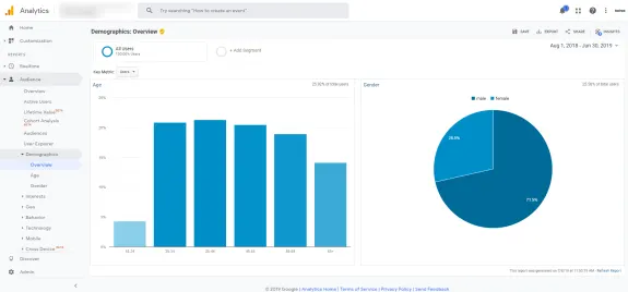 Google Analytics demographics overview showing age and gender distribution chart.