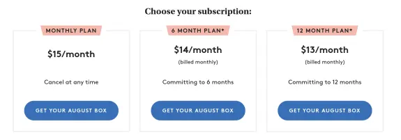 Subscription plan options with pricing for monthly, 6-month, and 12-month plans.