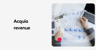 Person analyzing revenue charts with calculator and laptop on desk.