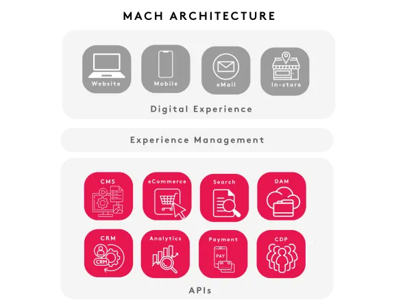 Diagram of digital experience management with website, mobile, email, in-store and APIs like CMS, eCommerce.