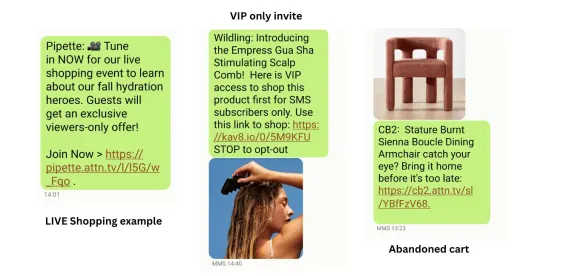 Image showing SMS marketing examples: live shopping event, VIP invite, and abandoned cart reminder.